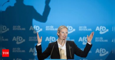 Fact check: AfD head called Hitler 'communist.' He was not