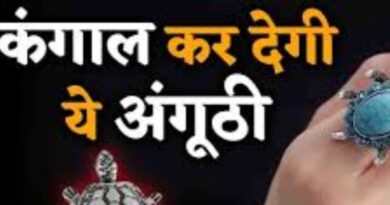 Kachua Ring: ये लोग न पहनें कछुआ की अंगूठी, नहीं तो व्यापार हो जाएगा ठप! जानें इसकी वजह