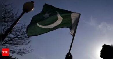 Pakistan’s parliament places curbs on social media