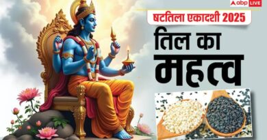 Shattila Ekadashi 2025 lord vishnu puja and importance of til use sesame on these six ways